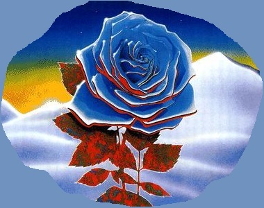 The elusive blue rose