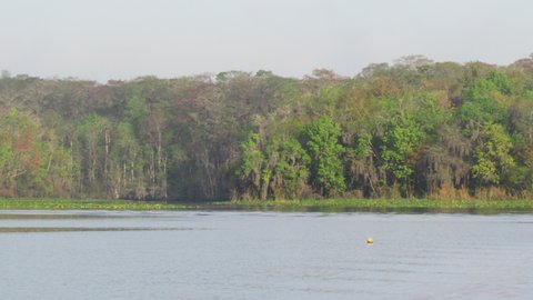 The entrance to the Ocklawaha river of the St. John's river near Welaka