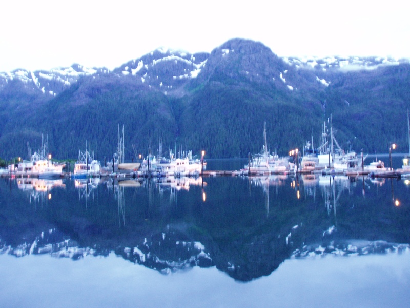 The eve of Commerical King Season - Pelican 2006
