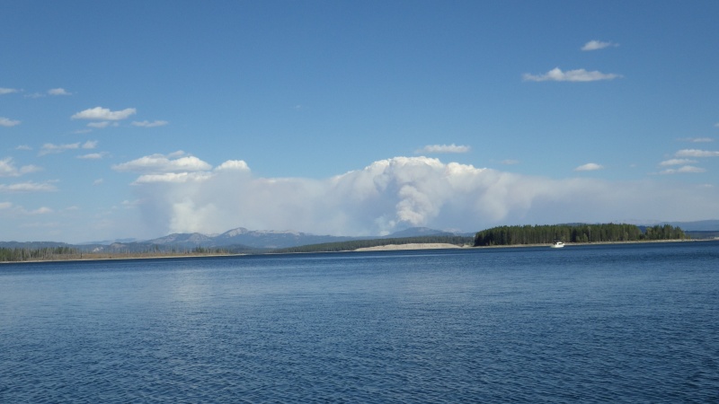 The fires!