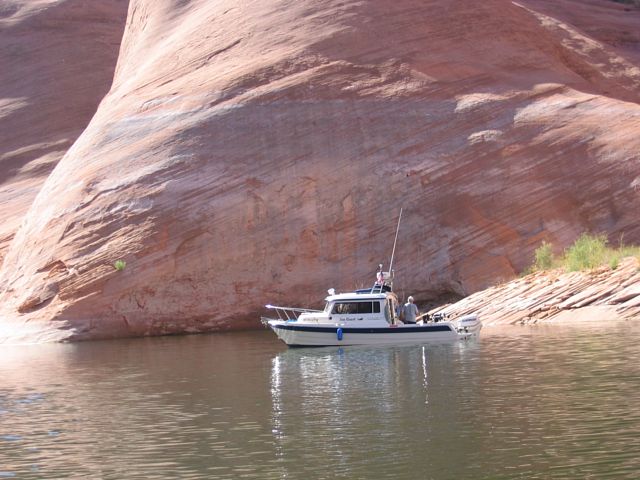 The Fishing Fool