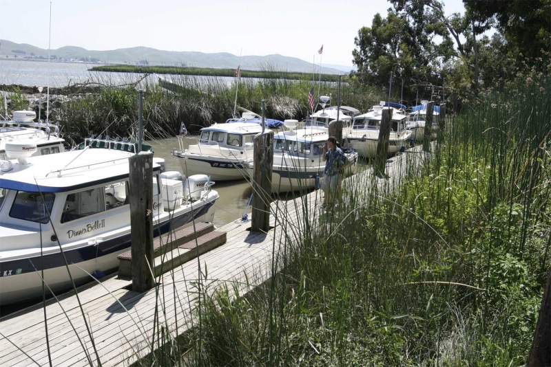 The fleet moored at the Duck Club dock.