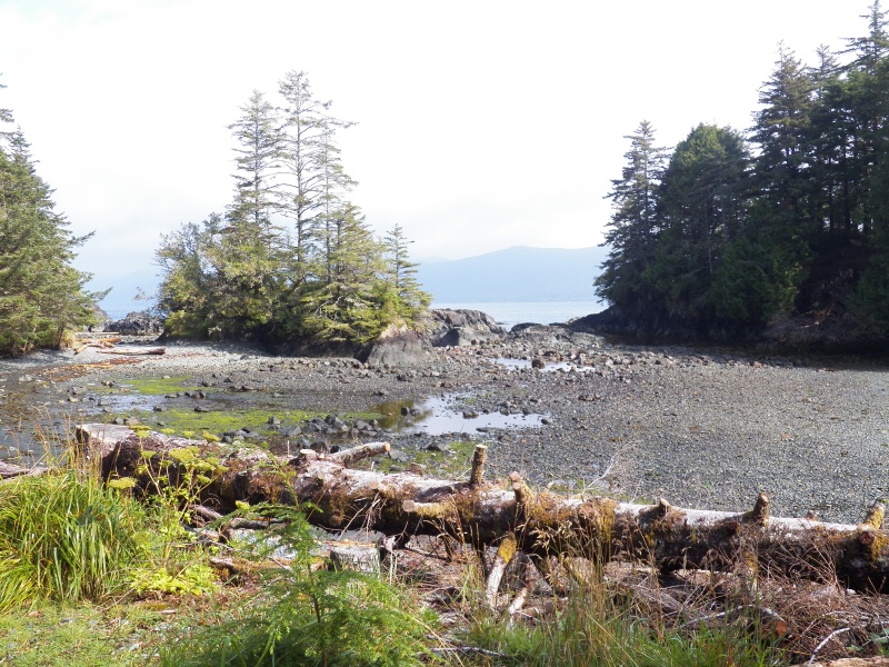 The harbor is shallow (perfect for canoes), west facing (perfect for the weather), and small (perfect for defense).
