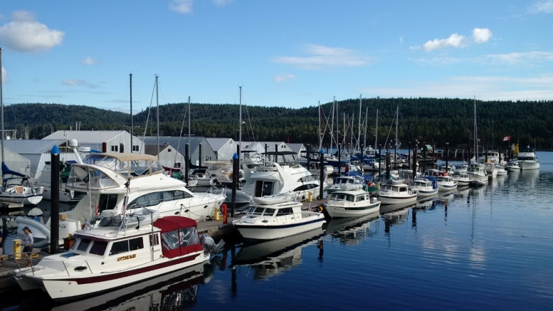 The Ladysmith dock