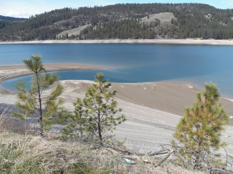 The lake shore near Gifford.  150 feet of mud and 40 feet of elevation to get to vegetation.
