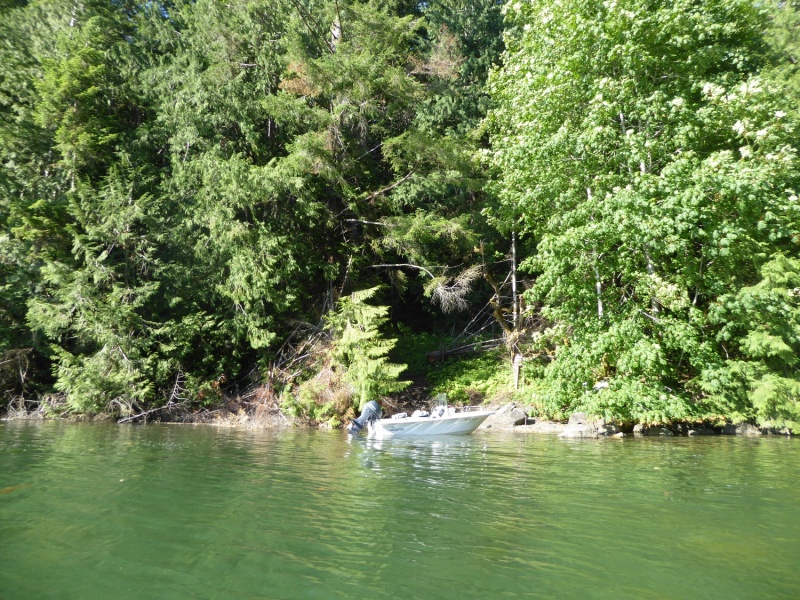 the landing at Melanie Cove as seen from the water