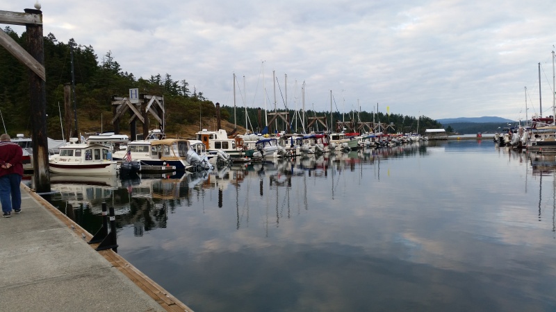 The long walk back from town! Were on "H" dock.