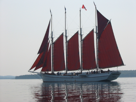The Margaret Todd sails out of Bar Harbor, ME