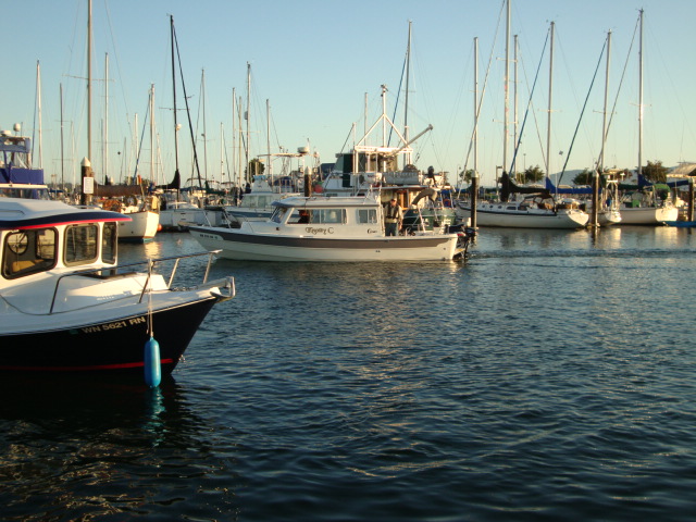 The Marinaut & KNOTTY C