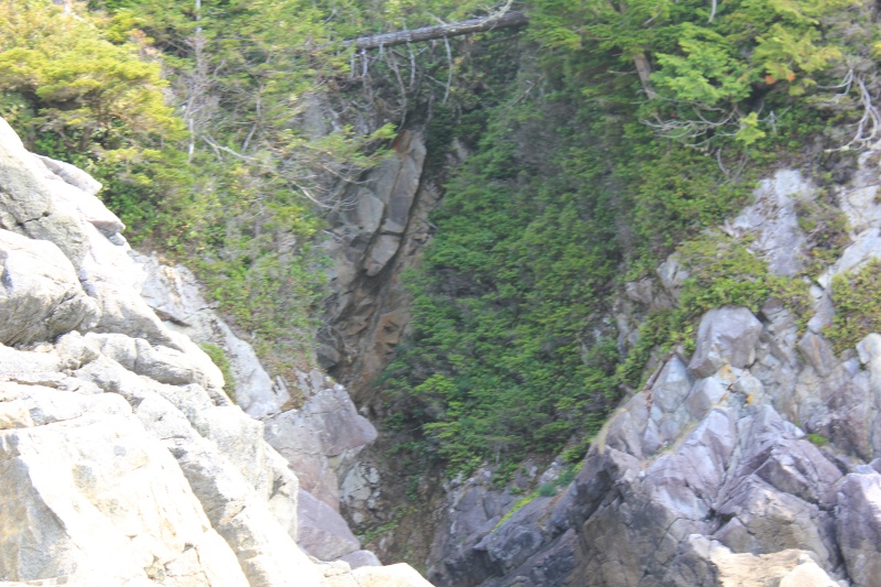 The mysterious face of Reeks Island