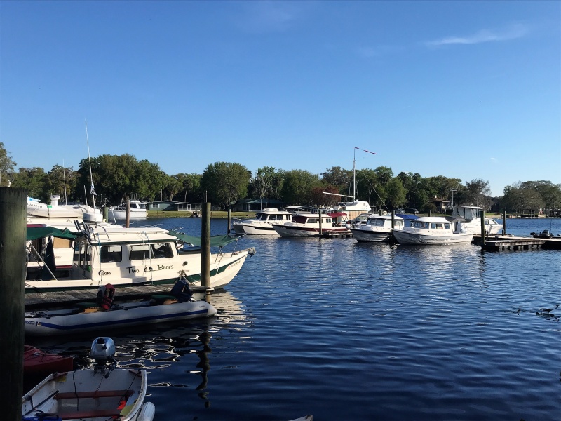 The new C-Dorys are the two on the far dock to the right.