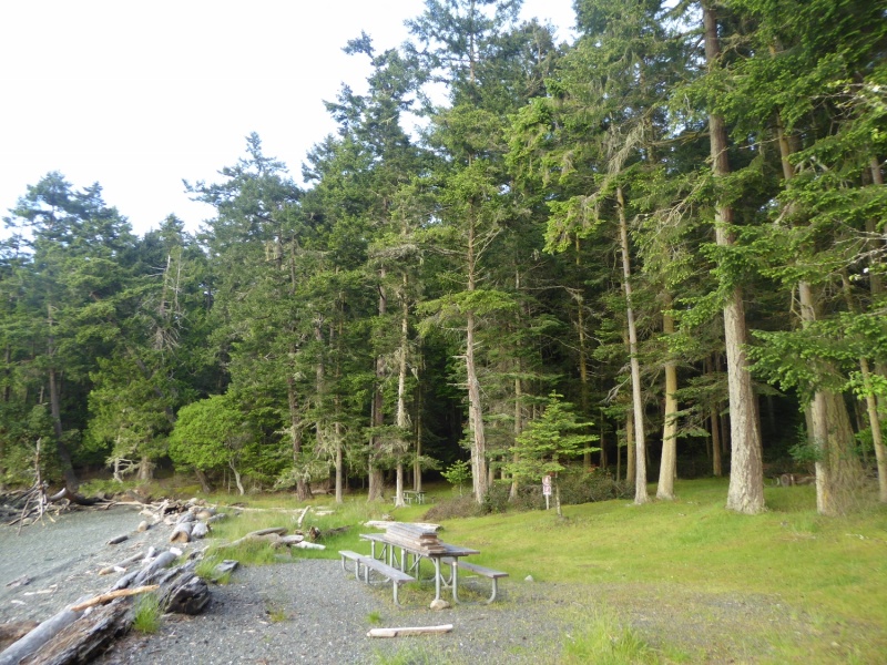 The Northwest beach at Turn Island