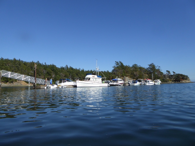 The outer dock was full, but not with 40+ foot party yachts as I expected
