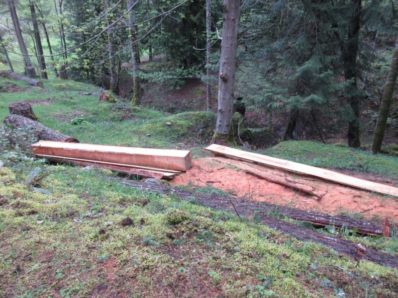 The owner was apparently building a wagon out of hand-sawn boards! (I failed to get a picture of the amazing wagon)
