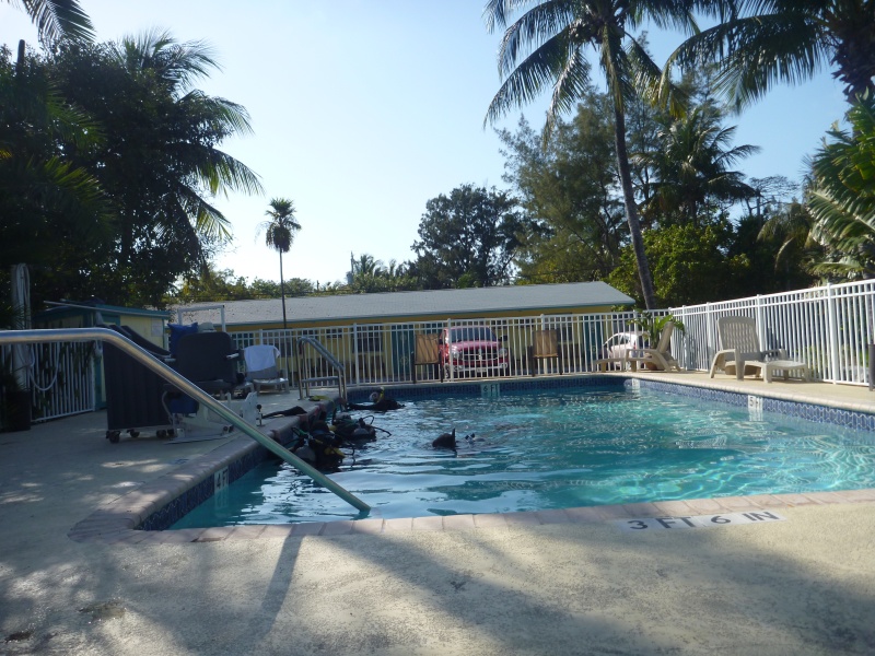 The Pool at Black Fin Resort/Marine