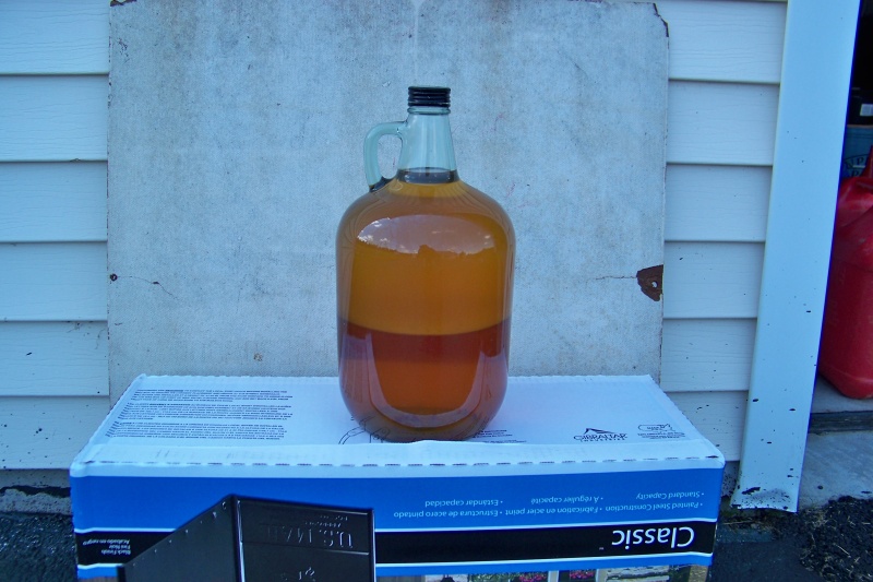 The reason we could not complete the loop with the rest of the gang. Phase seperation of ethanol gasoline and water that I pumped from Annalee's tank after we returned home Lot's more water in tank than what is shown here. But that's another story!