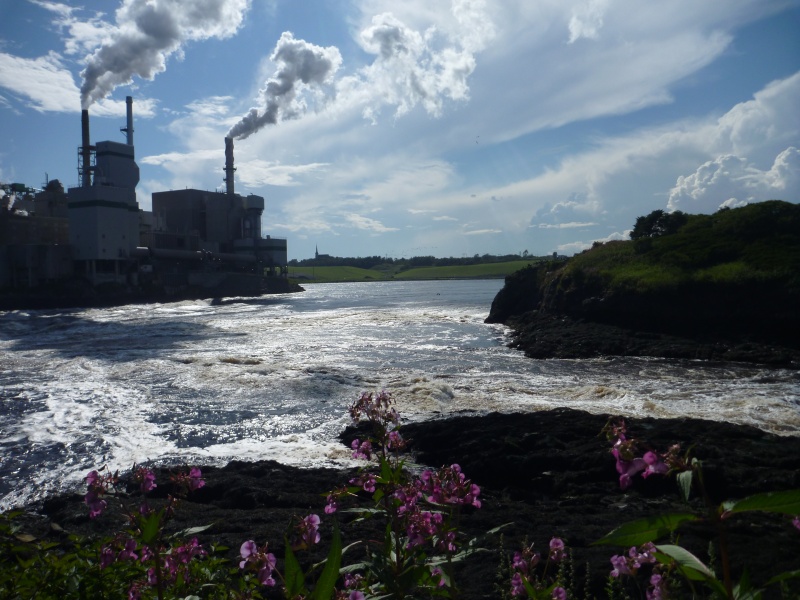 the reversing falls on the Saint John river in the city of Saint John