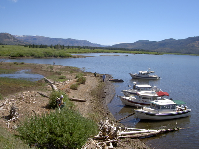 The sand or mud bar where we came to shore is next to the outlet of Beaverdam Creek and very close to inlet of the Yellowstone River to Lake