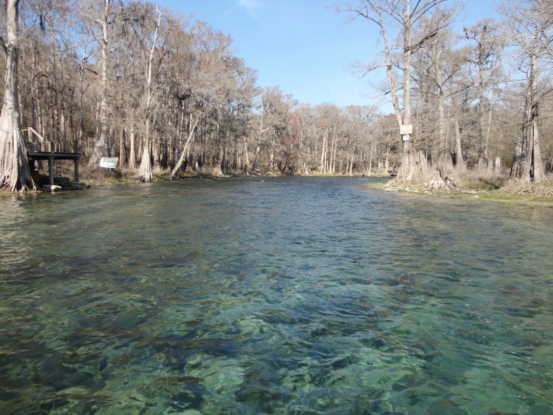 The Sante Fe is crystal clear.  This is probably 6 ft+ deep.