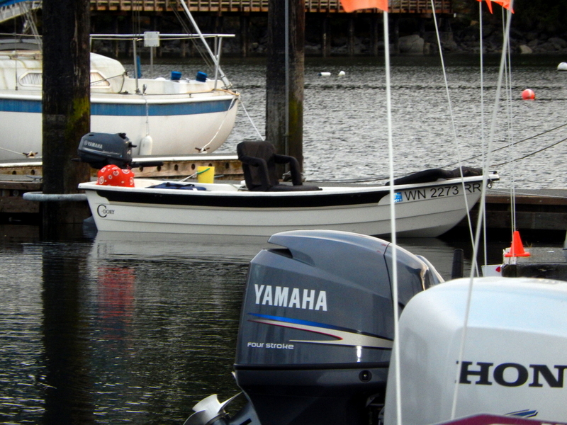 The smallest C-Dory is NOT 
a 16' like See-Saw, 
but a 12' open dory from several years ago