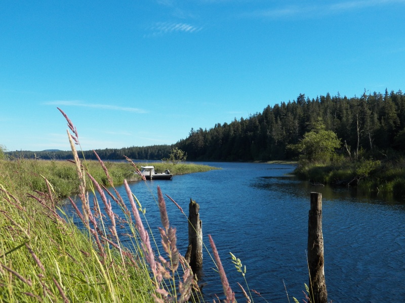 The start of the Ozette River drainage to the Pacific and a few more little pilings.