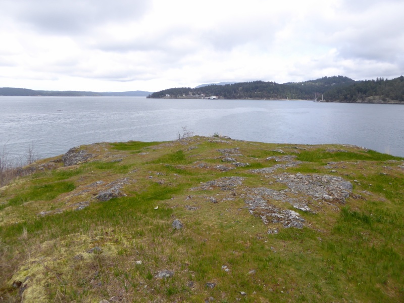 The summit of Blind mountain, looking over at the Orcas Island ferry landing