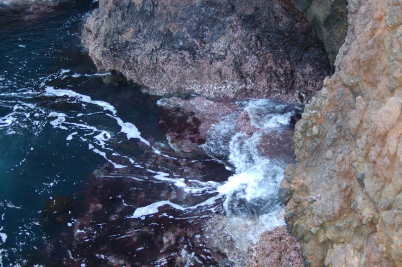 The surge creates a constantly changing seascape.