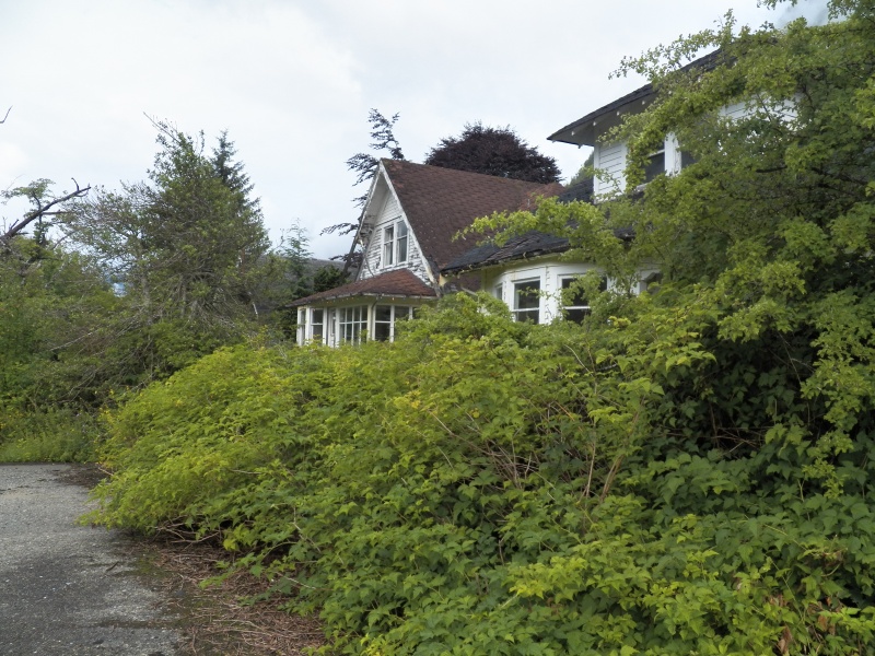 The T-Lock composite roofing made it past its warranty date.