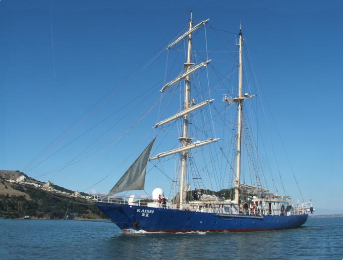The Tallship "KASEI" as it makes its way through Raccoon Strait in San Francisco Bay