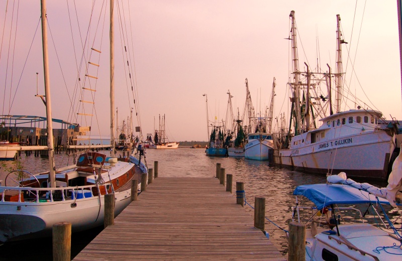 The Town Dock
Oriental, NC