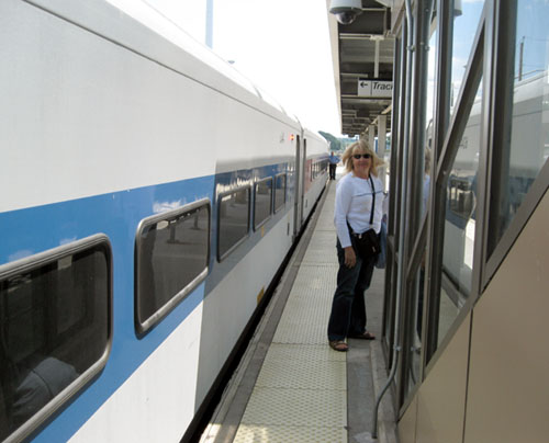 The train