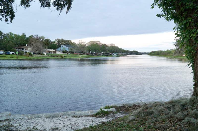 The view from eternity and to eternity from the memorial bench.  We saw an alligator, and a number of birds during our time here.  It is probably one of the nicest views on the river...
