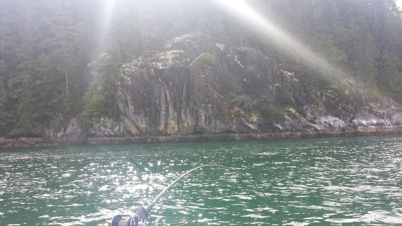 The \"Wall\", site of the hot spot on our last morning of fishing