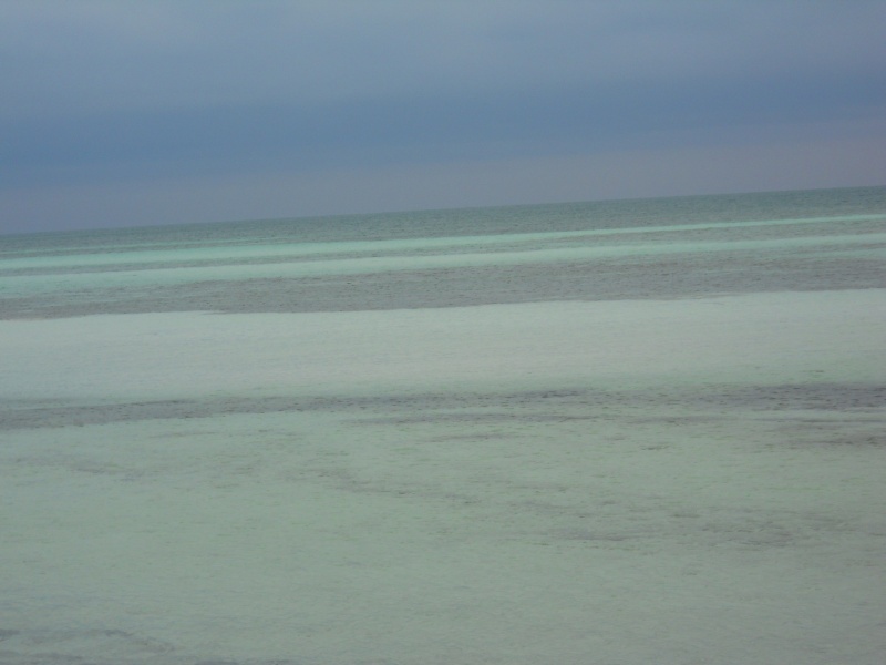 The Water