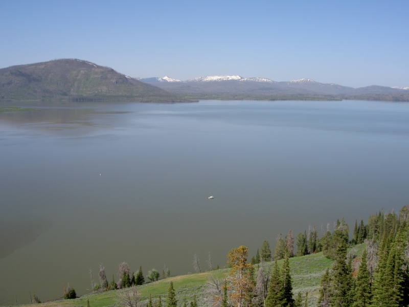 The white dot toward the center of photo is the Hunkydory