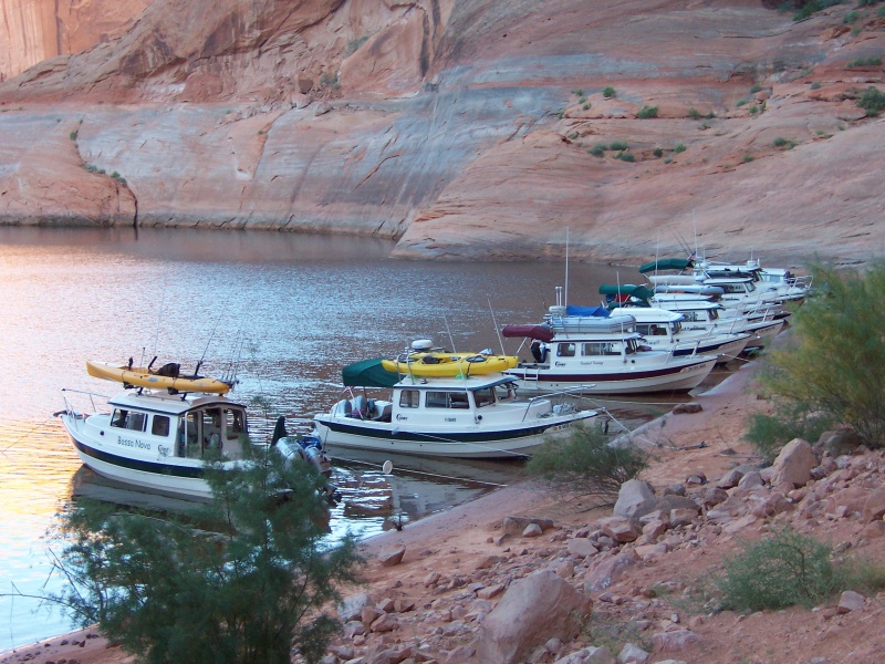 The whole line up of 10 C-Dory\'s in Forgotten Canyon C-Cakes arrived after photo was taken to make number eleven 9-27