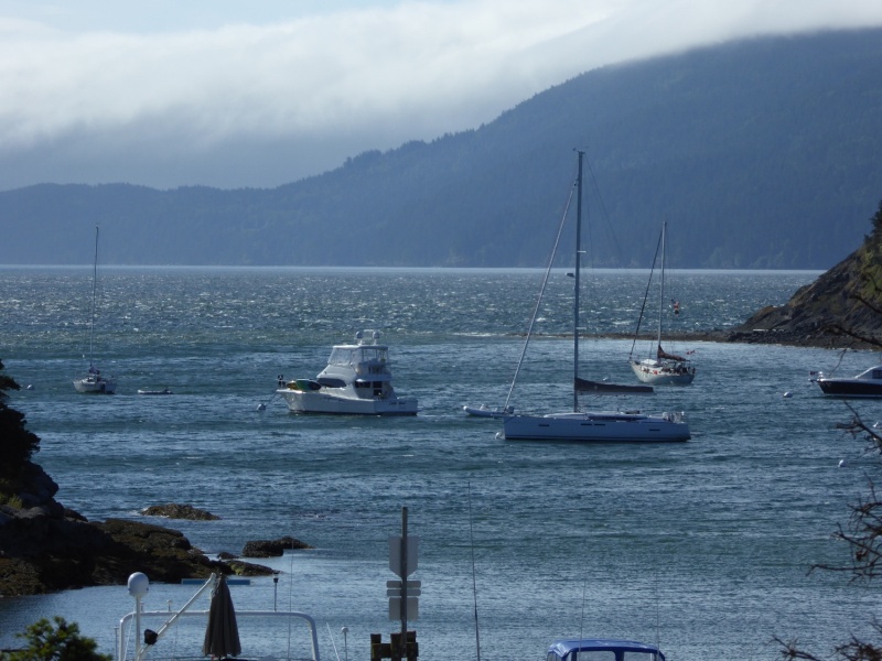 The winds picked up over night Friday and did not let up until late Saturday