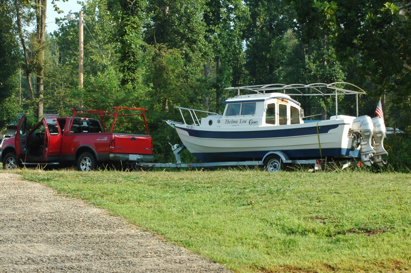 Thelma Lou 2 006