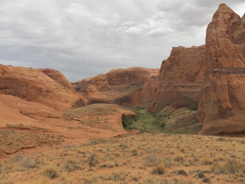 There are supposed to be petroglyphs.