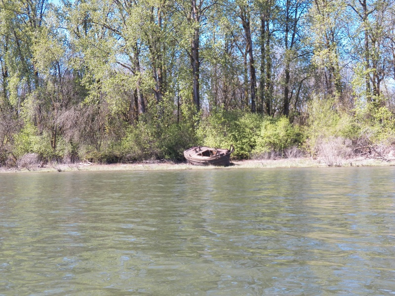 There are tides on the Columbia.  This guy seems to be waiting for the high.  Too bad it is high.