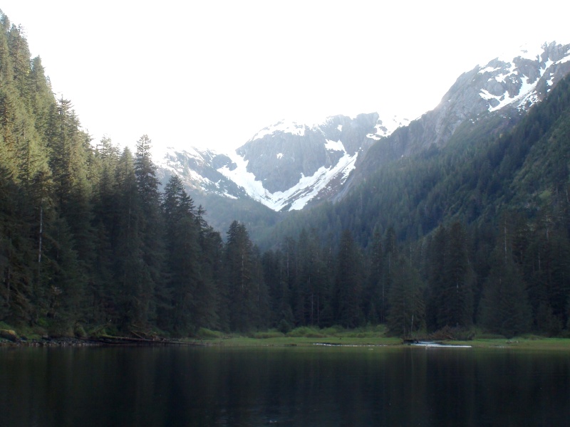 There was also a bear in this meadow on the west side of small inner salt water chuck anchorage