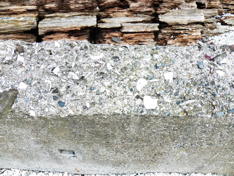 There were a few concrete footings made from "gravel" from the beach.  You can see that it's 20% shell.