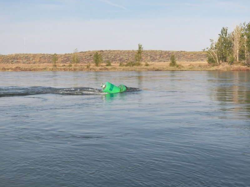 There were quite a few obstructions and the current could be challenging.