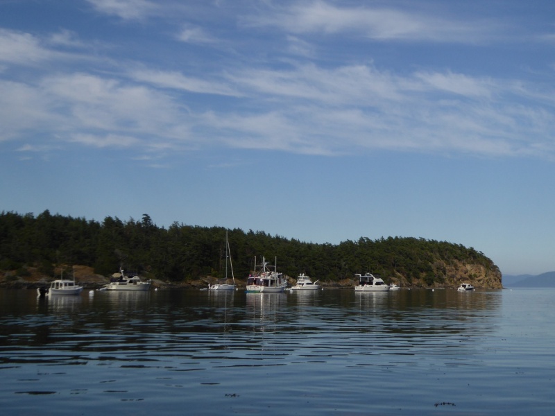 There were still 7 buoys at Sucia's busiest harbor when I arrived Friday evening of a double holiday weekend (Canada Day and 4th of July)