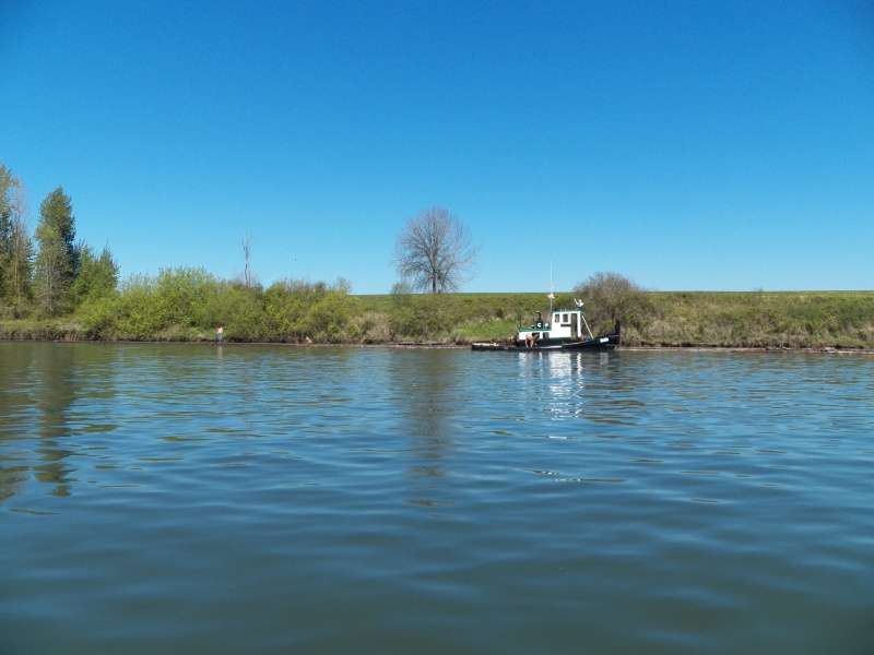 These guys had their pike poles and were putting together a log raft without wearing there official red plaid lumberjack shirts.  80 degrees in April.