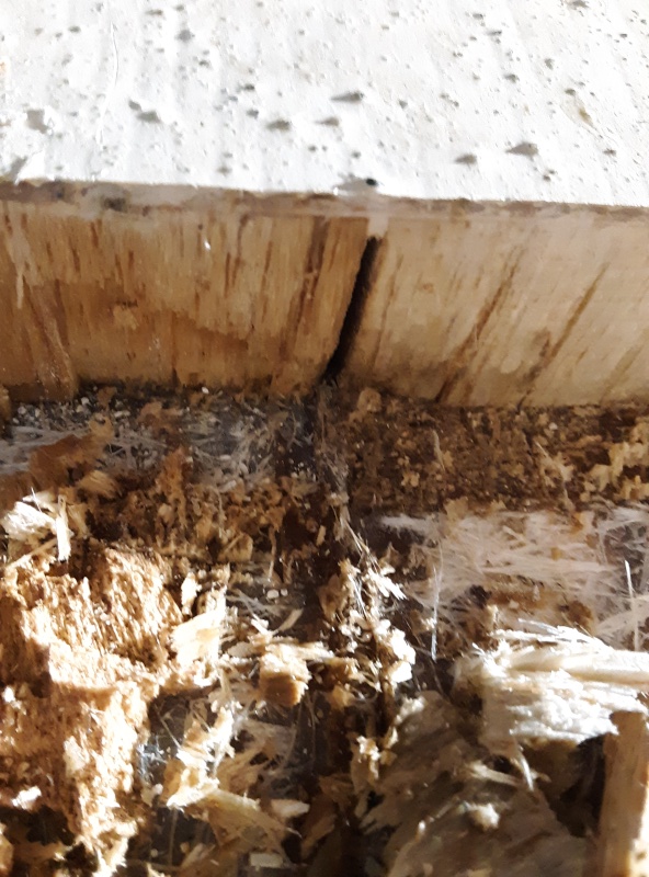 these kerfs in the balsa allowed water to run through the entire hull