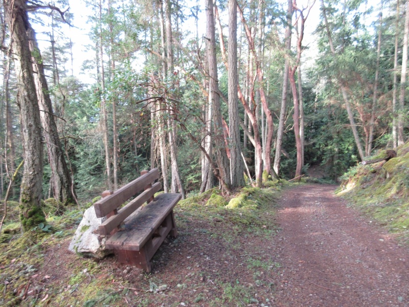 This bench is not a good omen for the return trip from the Lighthouse. Glad it was there - I used it coming back!