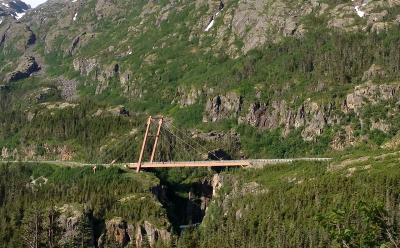 This bridge is on an active earthquake vault so its only anchored on one side.  Swell.