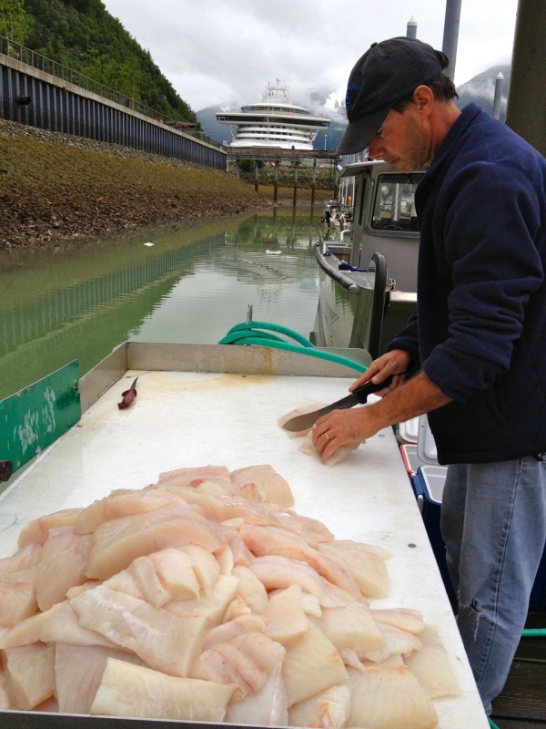 This guy caught a LOT of Halibut!