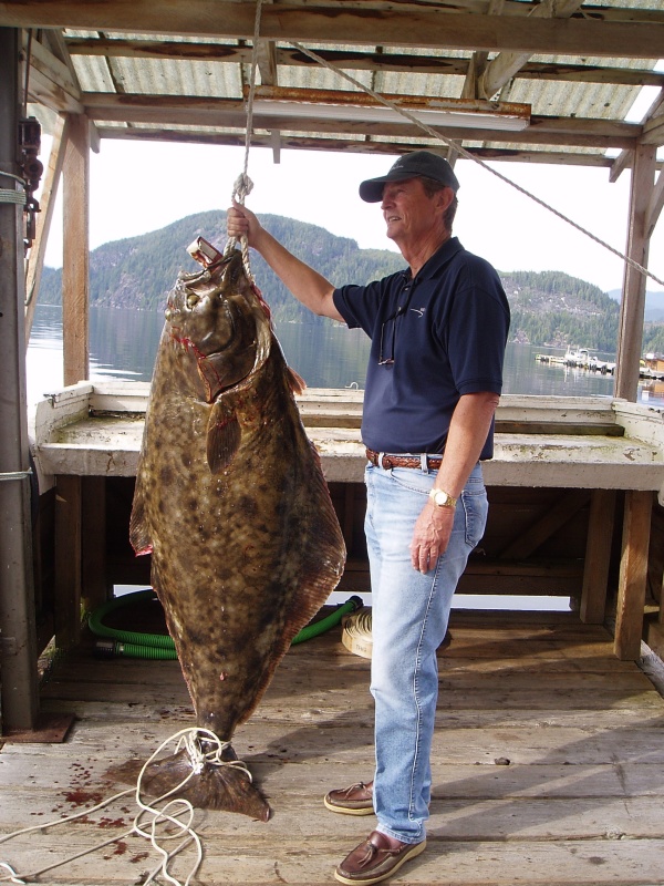 This Halibut was caught near Sulivan Bay BC in the Broughtons.